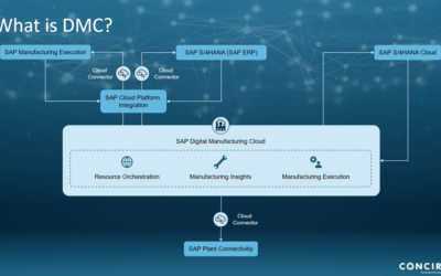 Webinar Recap: SAP DMC Custom Extensions