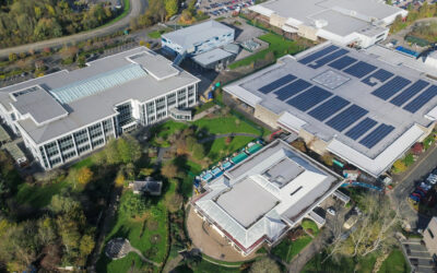 Synergie 3: Förderung einer energieadaptiven Produktion